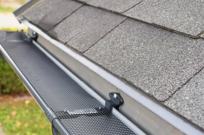 Gutter guards guard