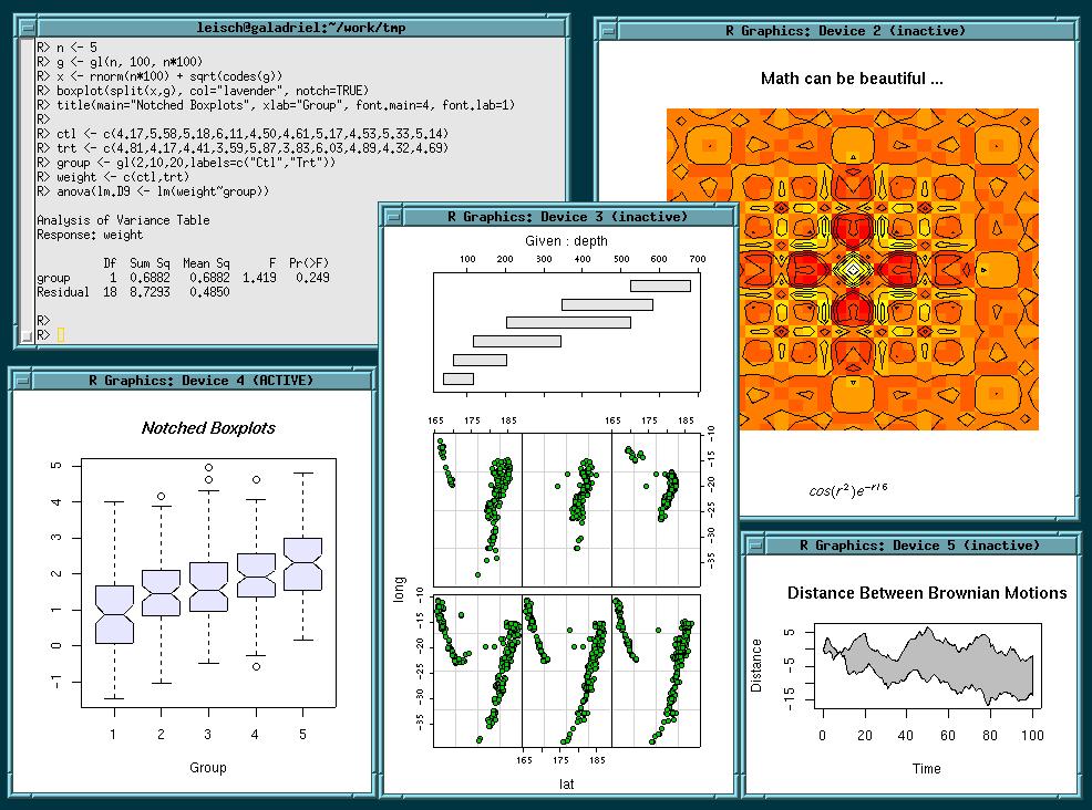 R software