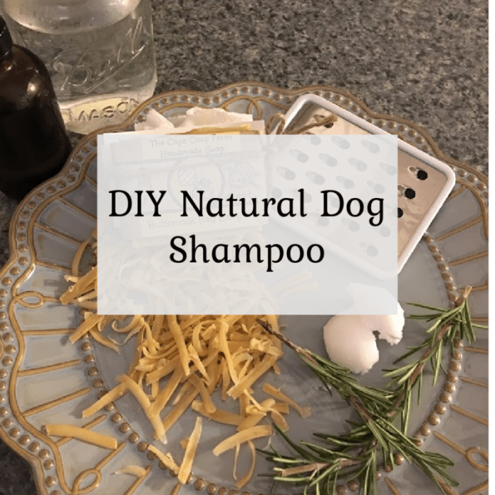 Dog shampoo diy